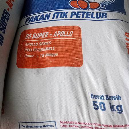 Pakan itik berkualitas