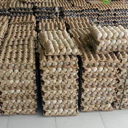 Kelanjutan produksi terjamin